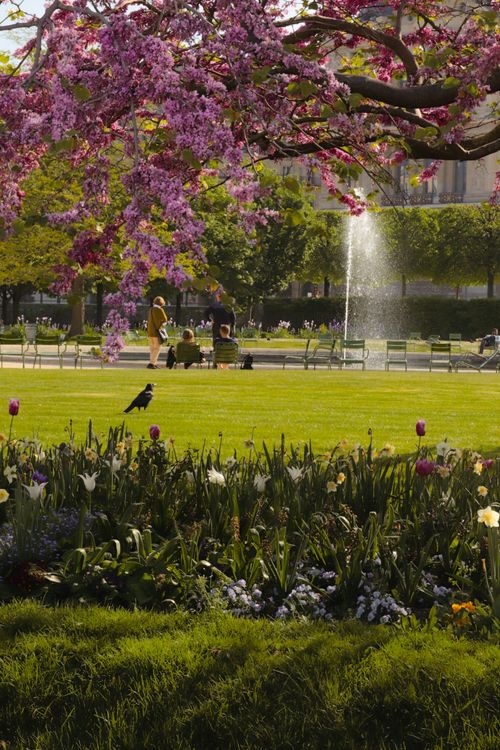 Free Experience the stunning spring bloom in a Paris park, featuring vibrant flowers and lush greenery. Stock Photo