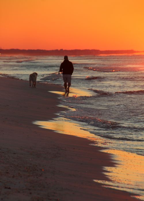 Free A man walks his dog on the beach during a vibrant sunset, capturing a serene moment. Stock Photo