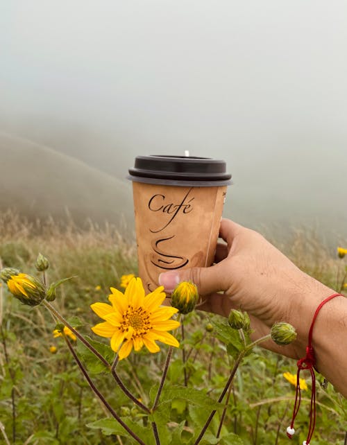 Free stock photo of clouds, coffee, nature