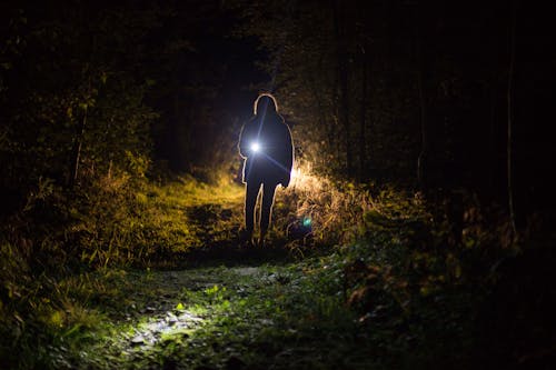 Person, Die Taschenlampe Während Der Nacht Hält