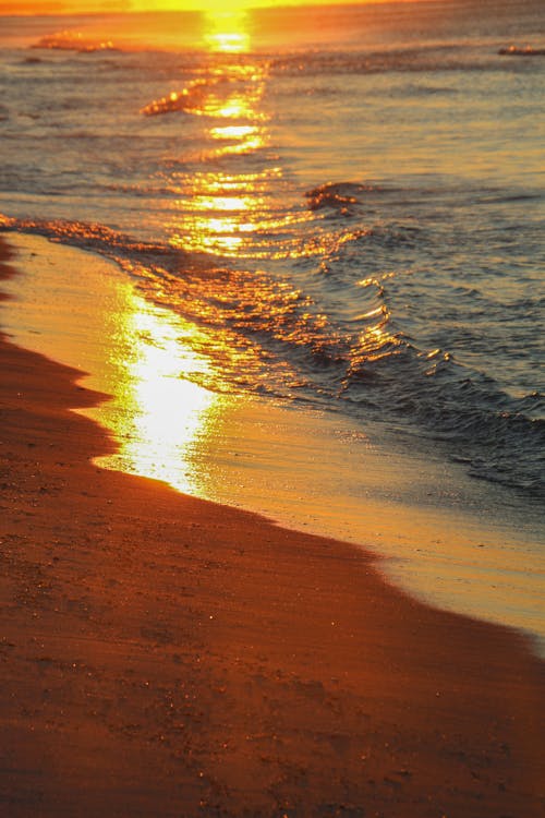 垂直拍攝, 岸邊, 日出 的 免費圖庫相片