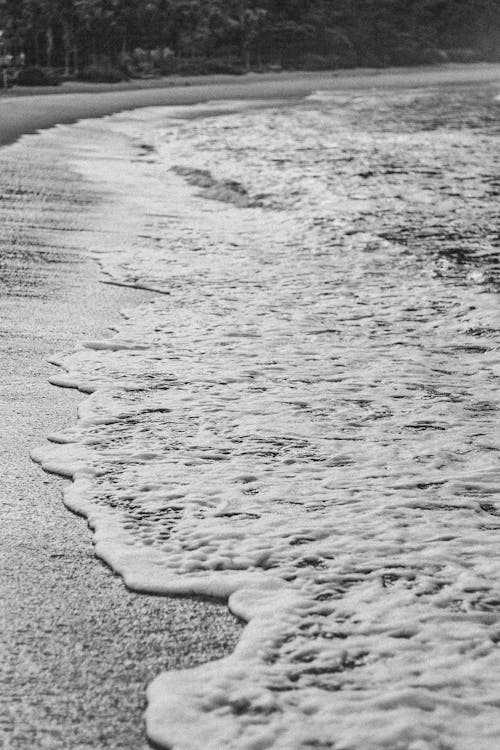 Foto profissional grátis de água, beach, black and white