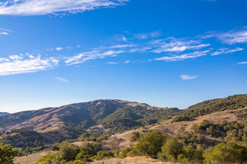 An Aerial Photography of Green Trees on Mountain Under the Blue Sky and White Clouds