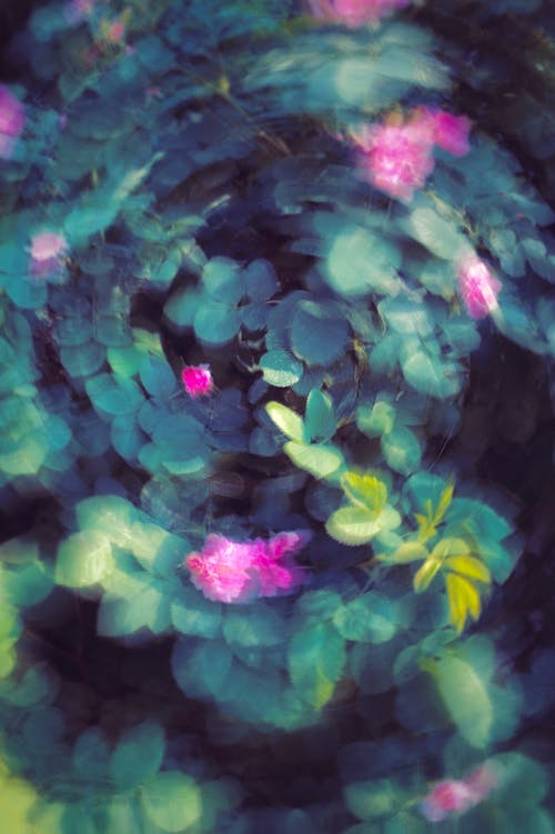 Photo Effect of Spinning Leaves and Flowers