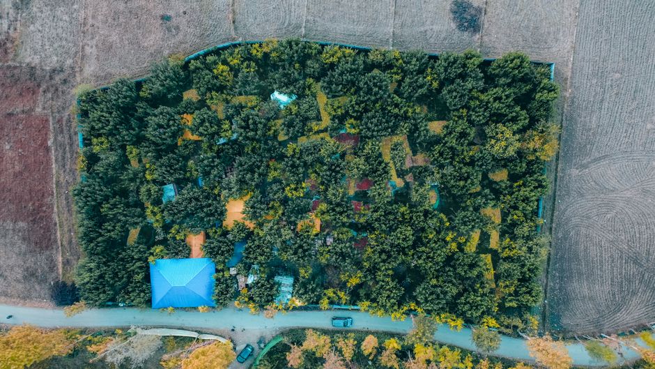 Aerial view of surveyed residential plot boundaries on open land in Palghar district, Maharashtra, with a road running through the layout