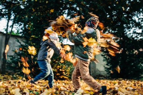 Boys Throwing Autumn Leaves in Yard