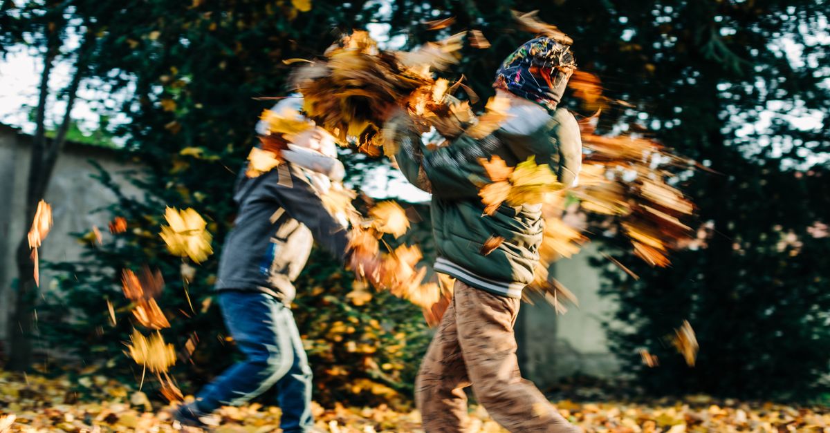 How to Find the Best Seasonal Activities with Activity Finder Pro