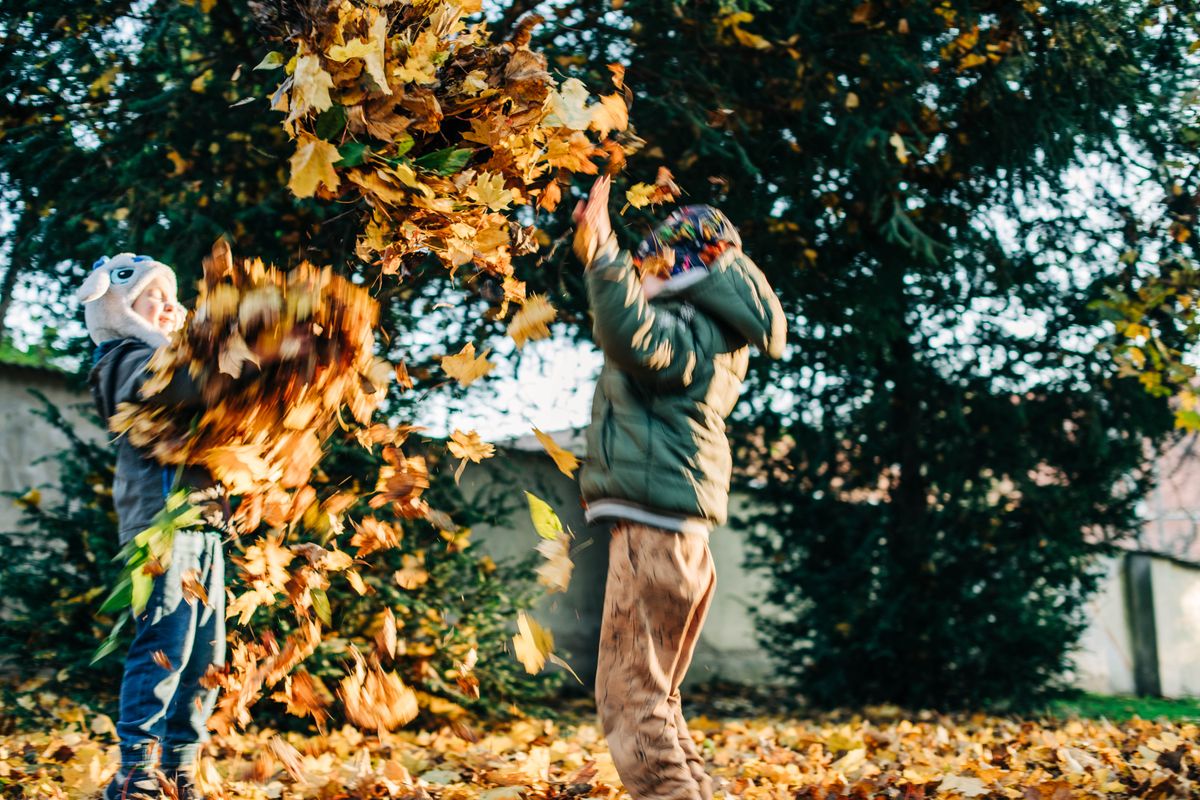 Kids joyfully playing in fallen autumn leaves in a sunny backyard