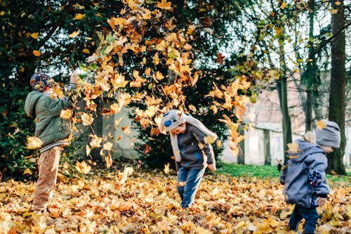 Children Throwing an Autumn Leaves