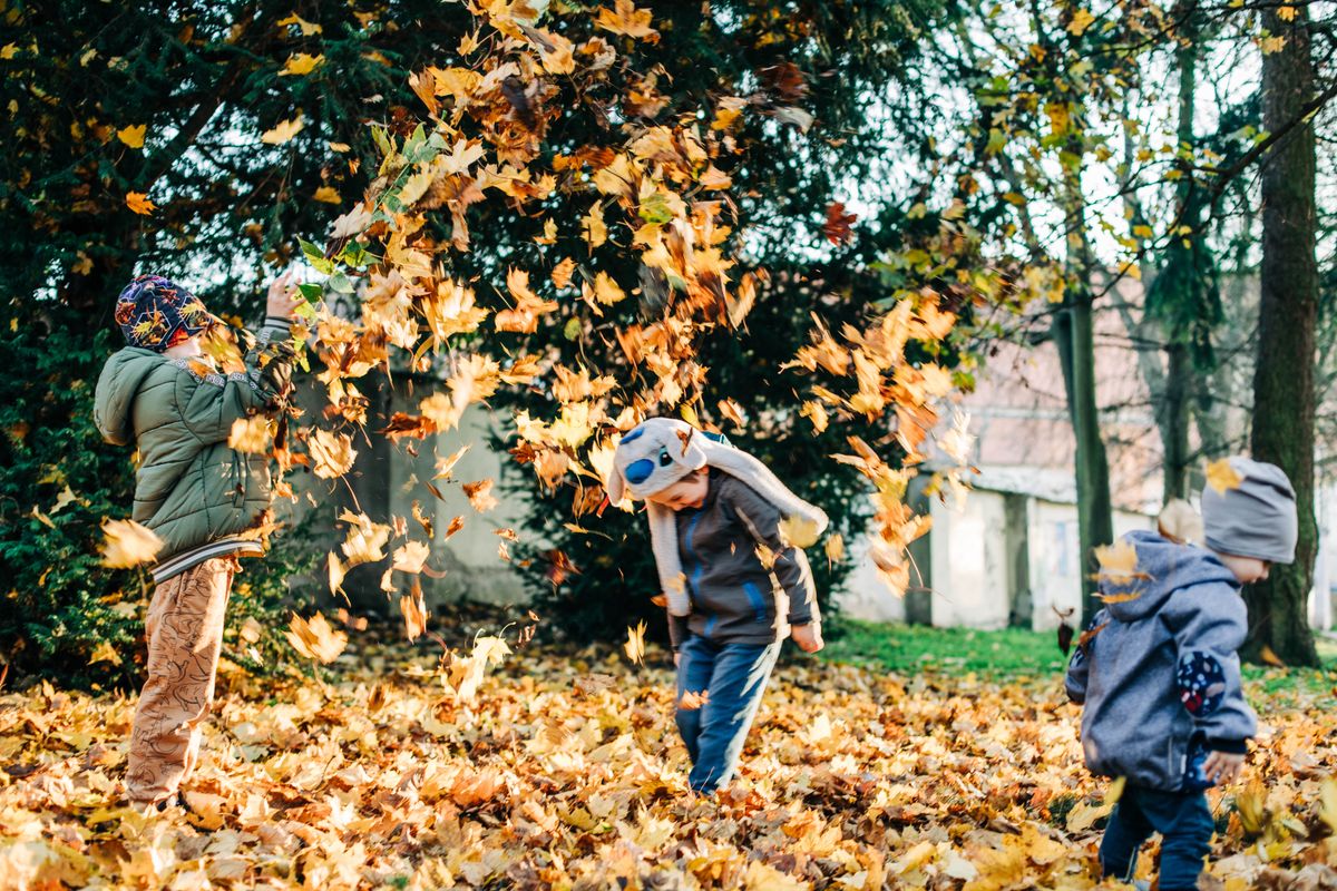 Children tossing autumn leaves into the air in a joyful leaf toss finale