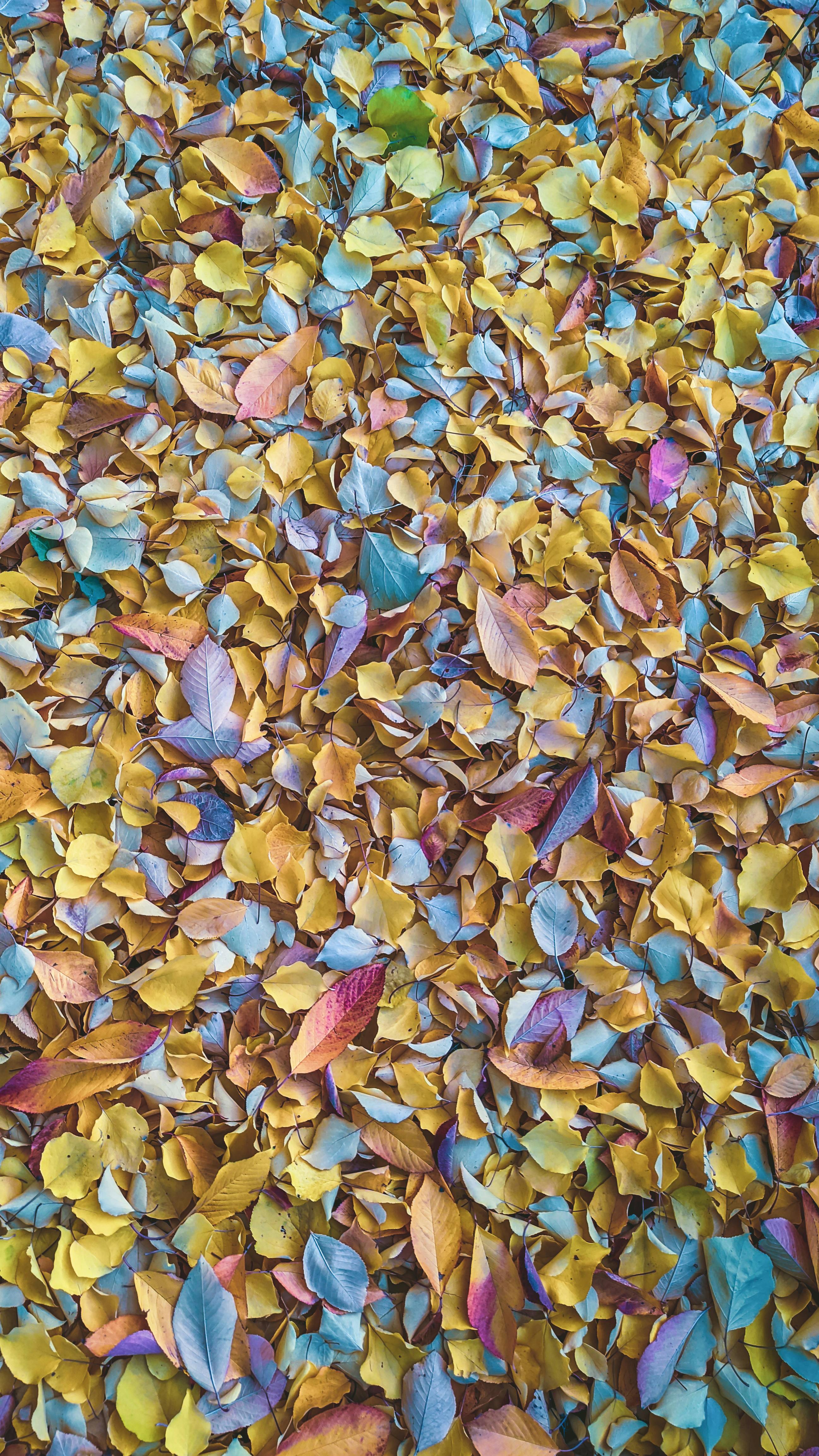 Photo by Sadi Gökpınar