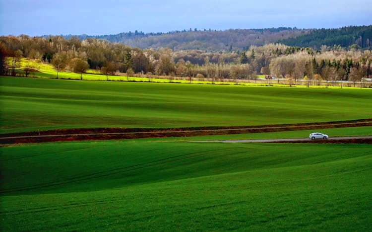 Landscape Of Bright Green Fields 