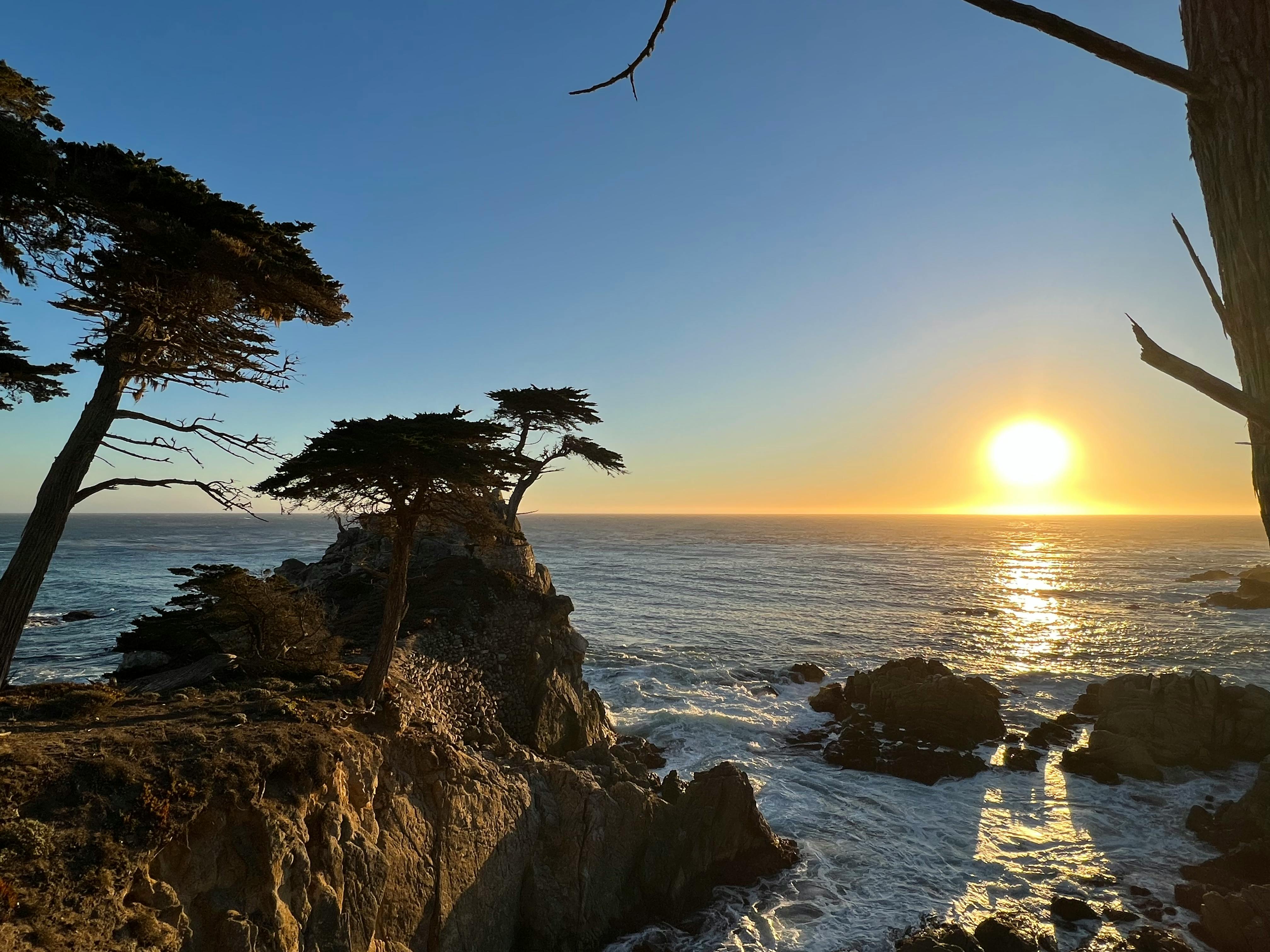 Daniel Cantwell 사진