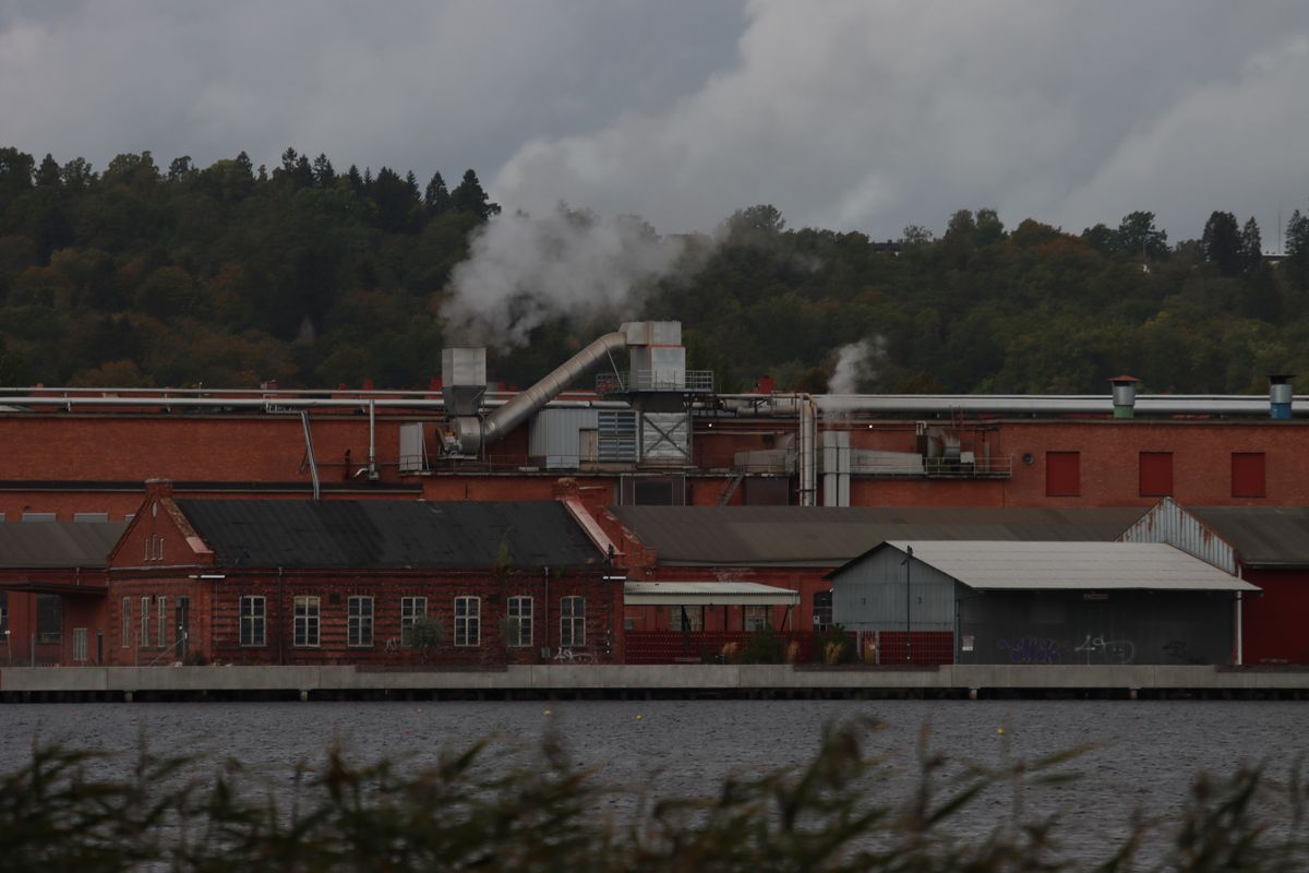A lone industrial stack releasing smoke, photo by Efrem Efre on Pexels