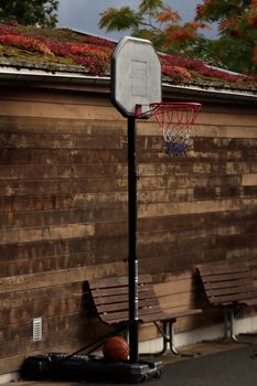 An empty basketball court with a hoop and benches against a wooden wall.