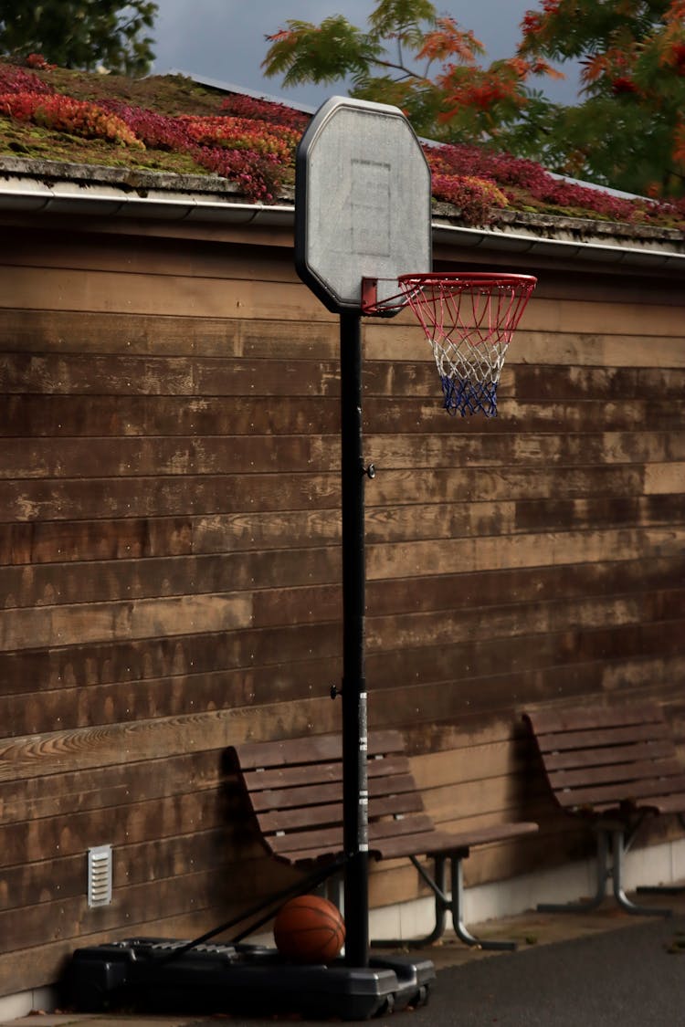 Photo Of A Basketball Hoop 