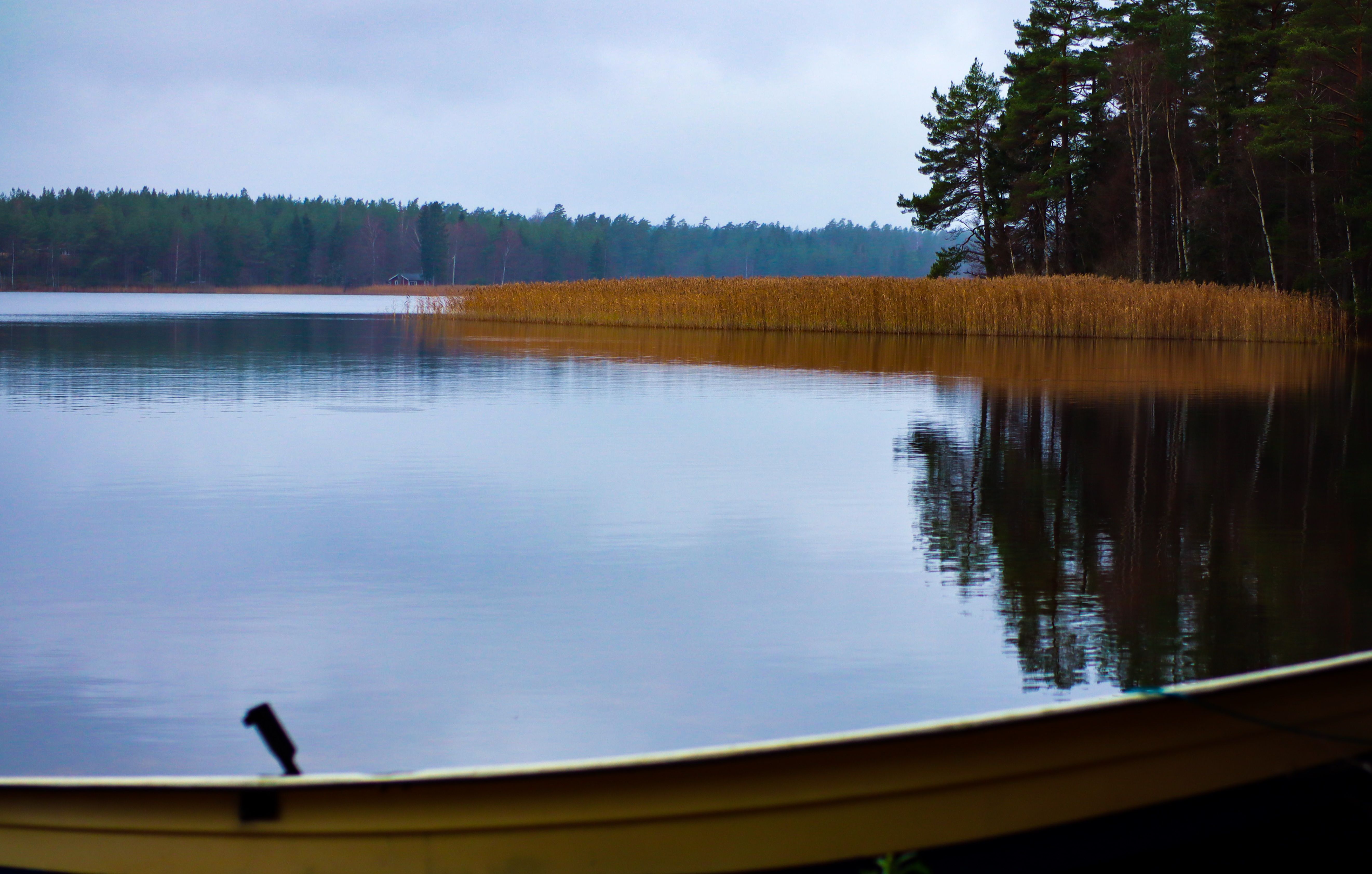 Serene lake view with a wooden boat and trees reflecting in calm waters.