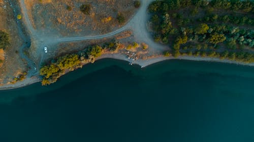 Top View of a Coastline with Green Trees 