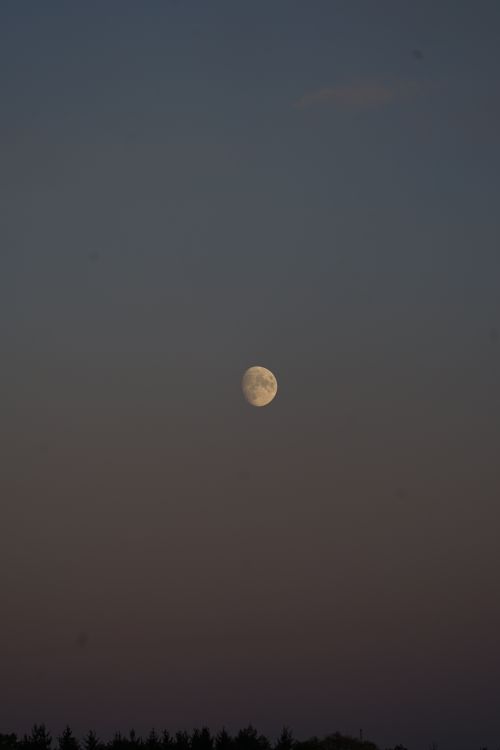 Free beautiful mond Stock Photo