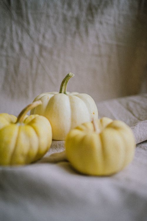 Free Soft focus image of small white pumpkins on a rustic linen cloth, evoking a cozy autumn vibe. Stock Photo