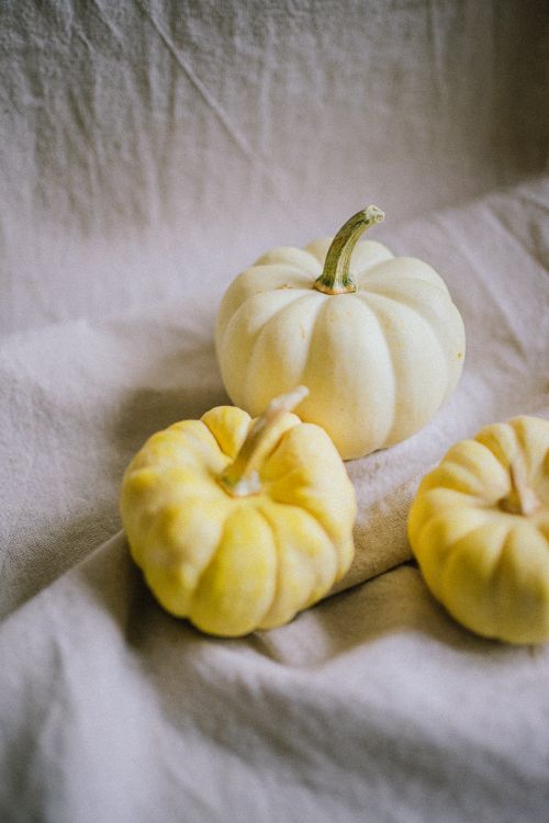 Free Close-up of white pumpkins on fabric conveys a calm autumn aesthetic. Stock Photo