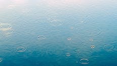 雨滴的特写镜头在平静的水面上激起涟漪