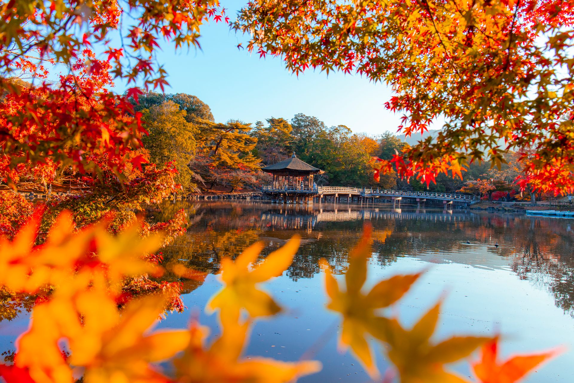 Gazebo on Lake in Autumn Park