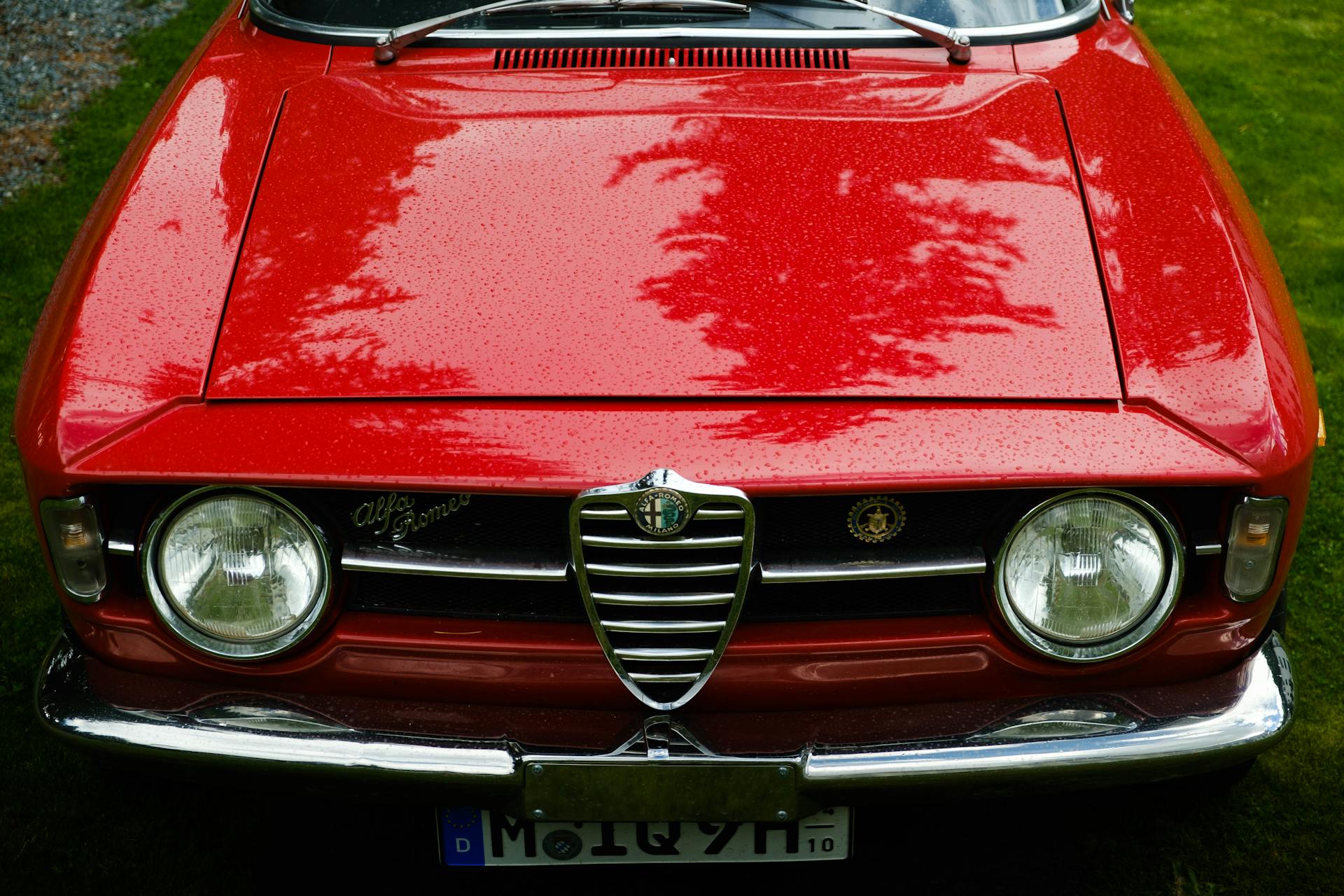 Stunning front view of a vintage red Alfa Romeo car with raindrops, showcasing classic design and shine.