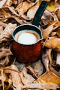 一杯温暖的咖啡依偎在干爽的秋叶间，营造出舒适的秋日氛围