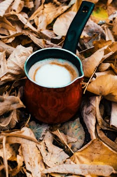 一杯温暖的咖啡依偎在干爽的秋叶间，营造出舒适的秋日氛围