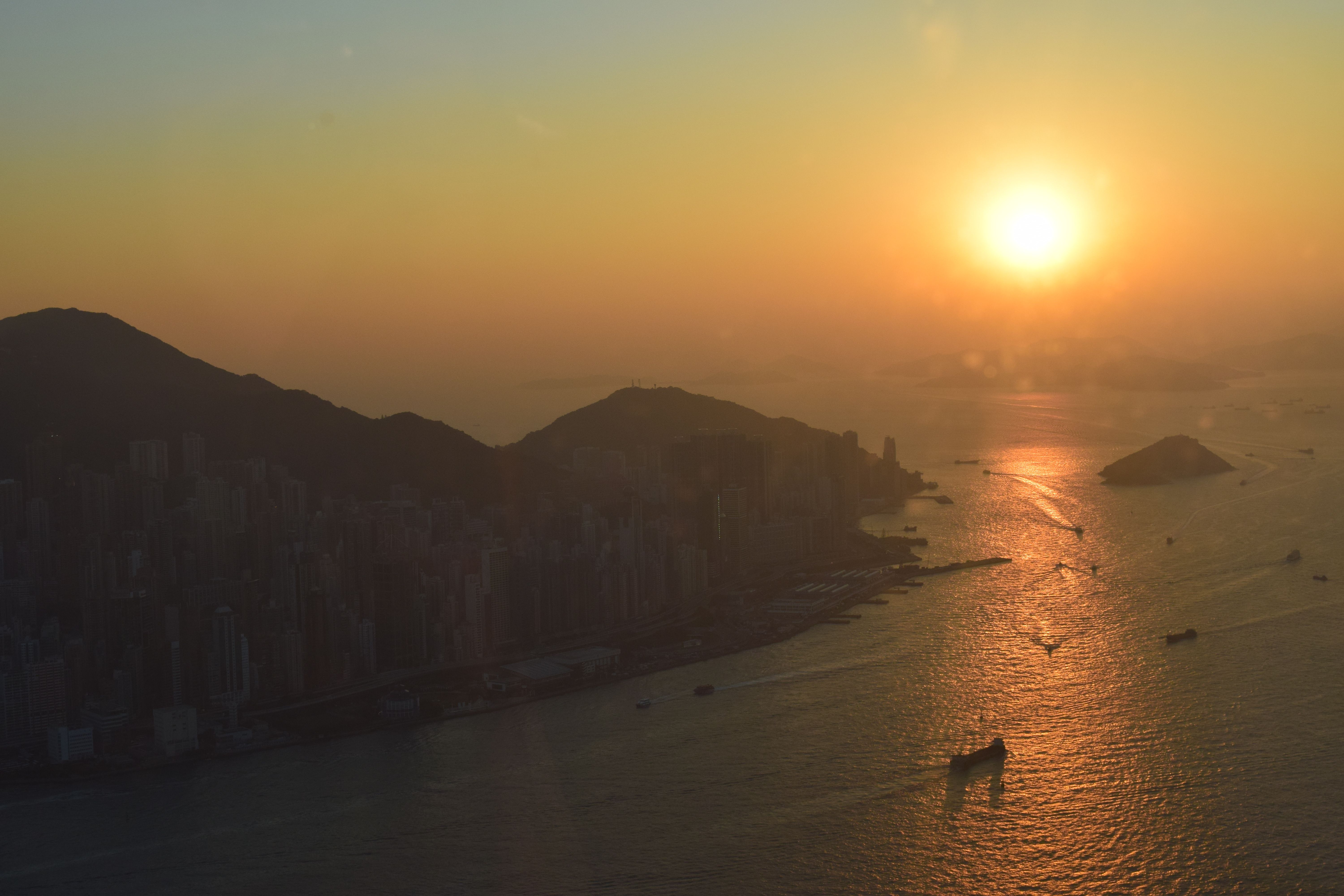 a Hong Kong racecourse at sunset, spectators studying odds boards, warm focused atmosphere