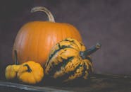 秋季环境中，充满活力的南瓜和凤尾鱼非常适合季节性主题