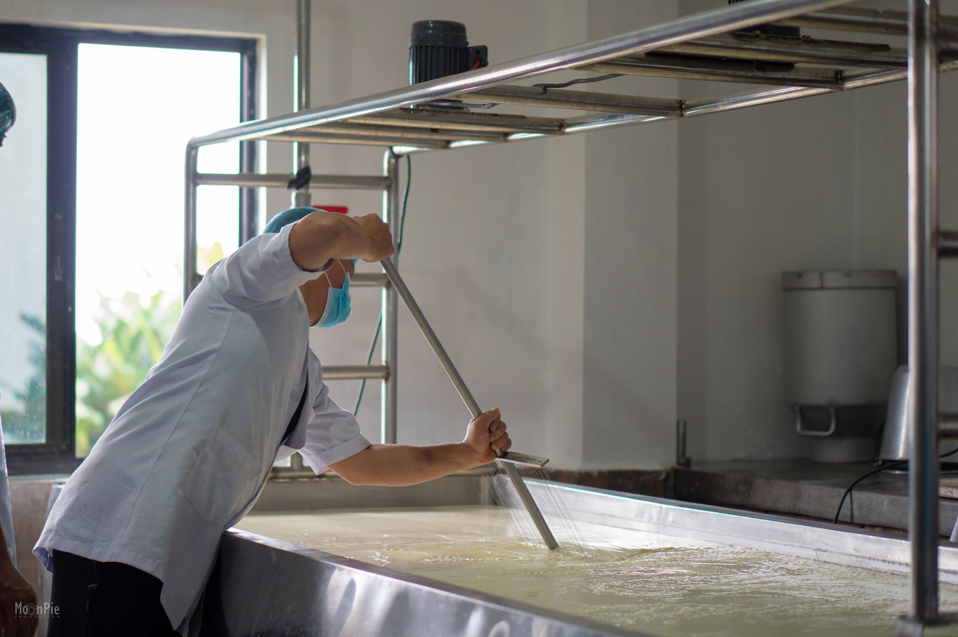 Man Working in Cheese Factory