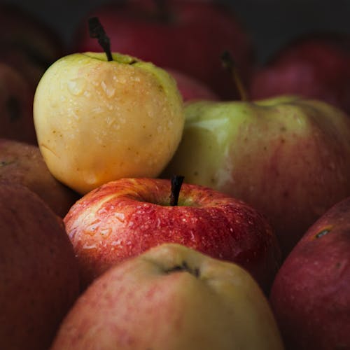 Bezpłatne Darmowe zdjęcie z galerii z dieta, format kwadratowy, jabłka Zdjęcie z galerii