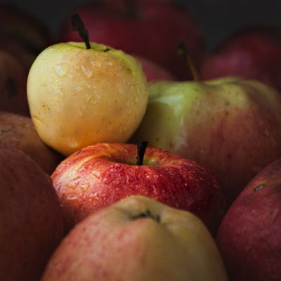 Fresh cider apples beaded with water — photo by Boryslav Shoot on Pexels