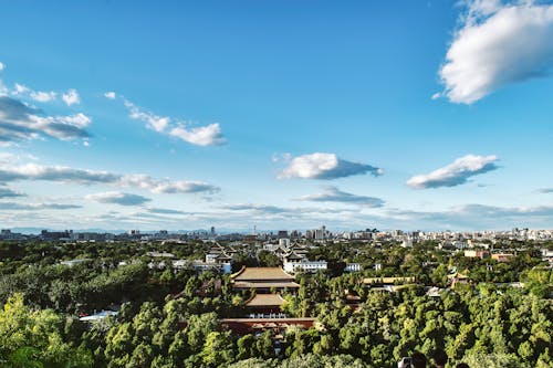 Birds Eye View Photography of Green Tree Forest