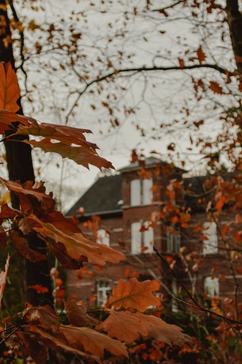 Free Charming autumn scene with vibrant leaves framing a vintage brick building, capturing fall's essence. Stock Photo