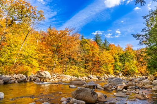 Free A beautiful autumn scene with vibrant foliage and a clear blue sky in Lincoln, NH. Stock Photo