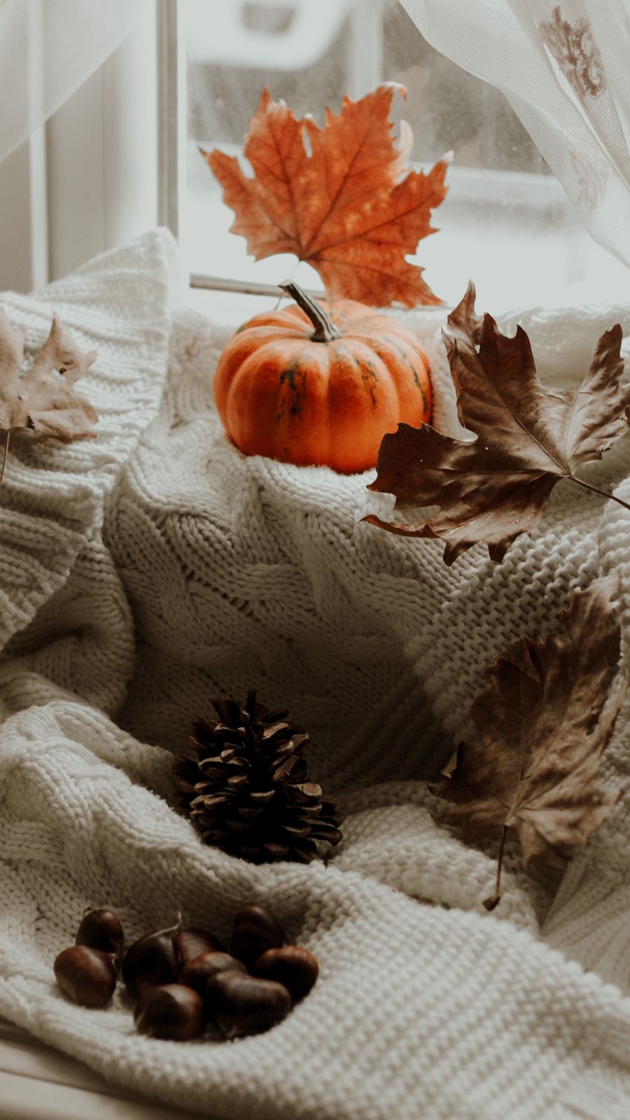 Autumn decorations with a pumpkin pinecone leaves and knitted blanket