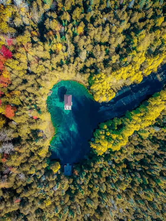 Безкоштовне стокове фото на тему «Аерофотозйомка, вертикальні постріл, вид зверху»