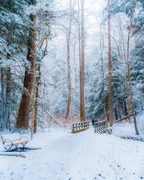 Wooden Bridge on Snow Covered Ground 