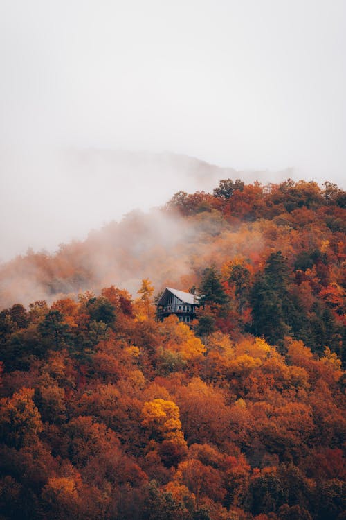 垂直拍摄, 山丘, 房子 的 免费素材图片