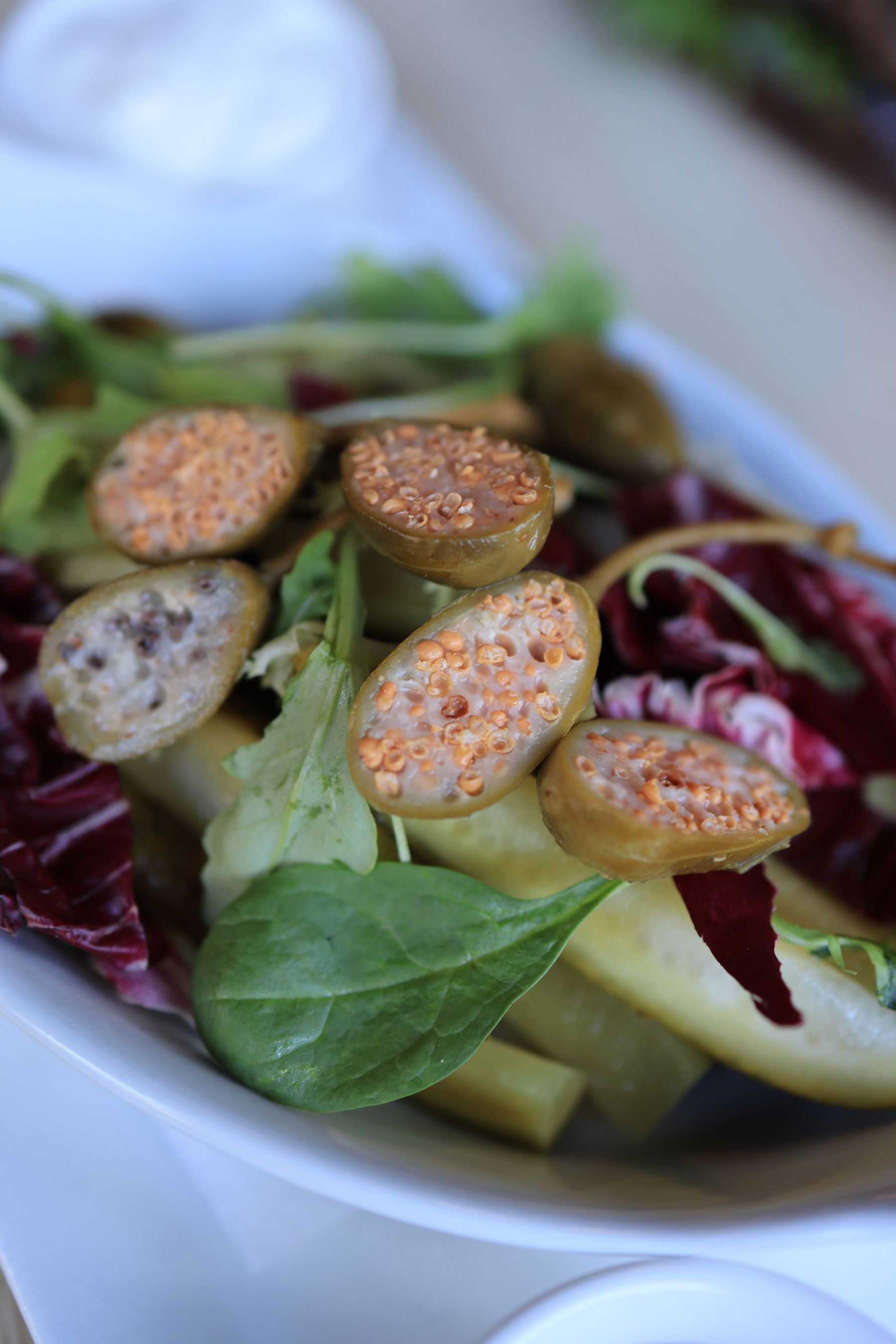 Fresh green salad in a bowl