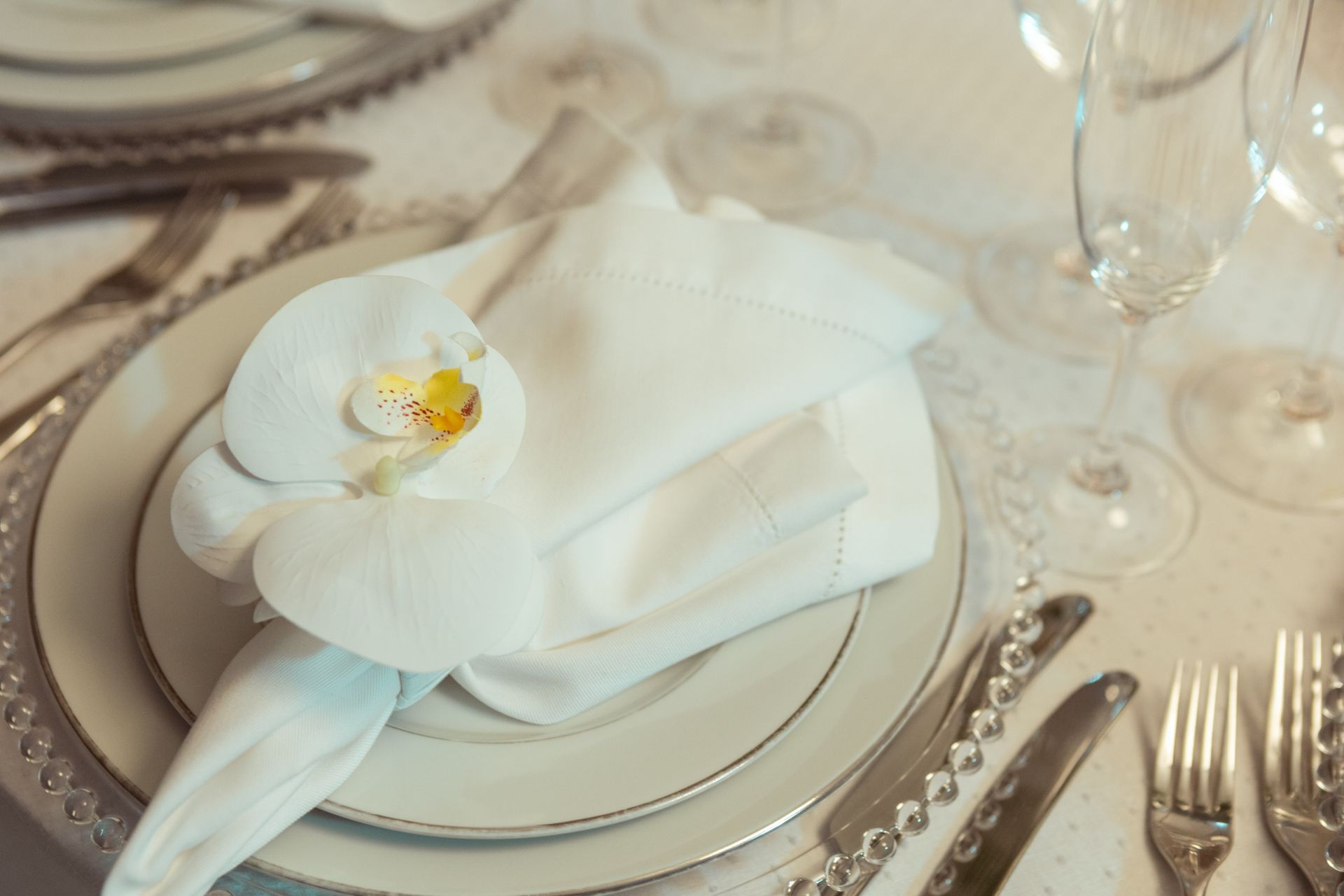 Chic table arrangement featuring white orchid and porcelain plates for a sophisticated dining experience.