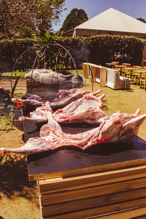 Foto profissional grátis de carne, jarda, jardim