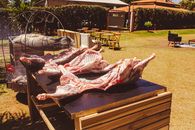 Outdoor setup with raw meat on a table, ready for BBQ. Sunny day in a garden setting.