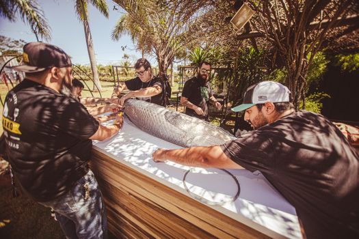 Men Working with Fish in Net