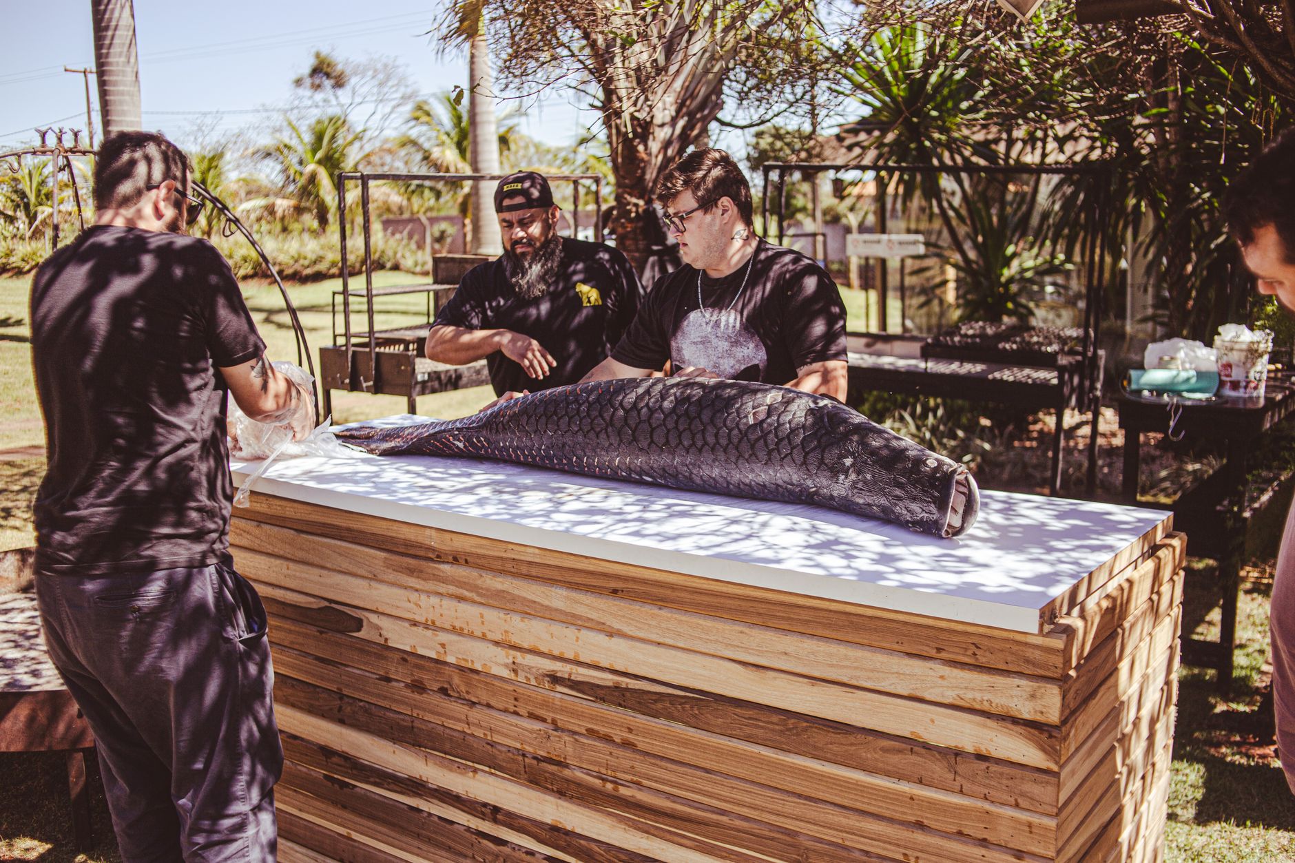 A espécie de peixe que vive sem machos há 100 mil anos