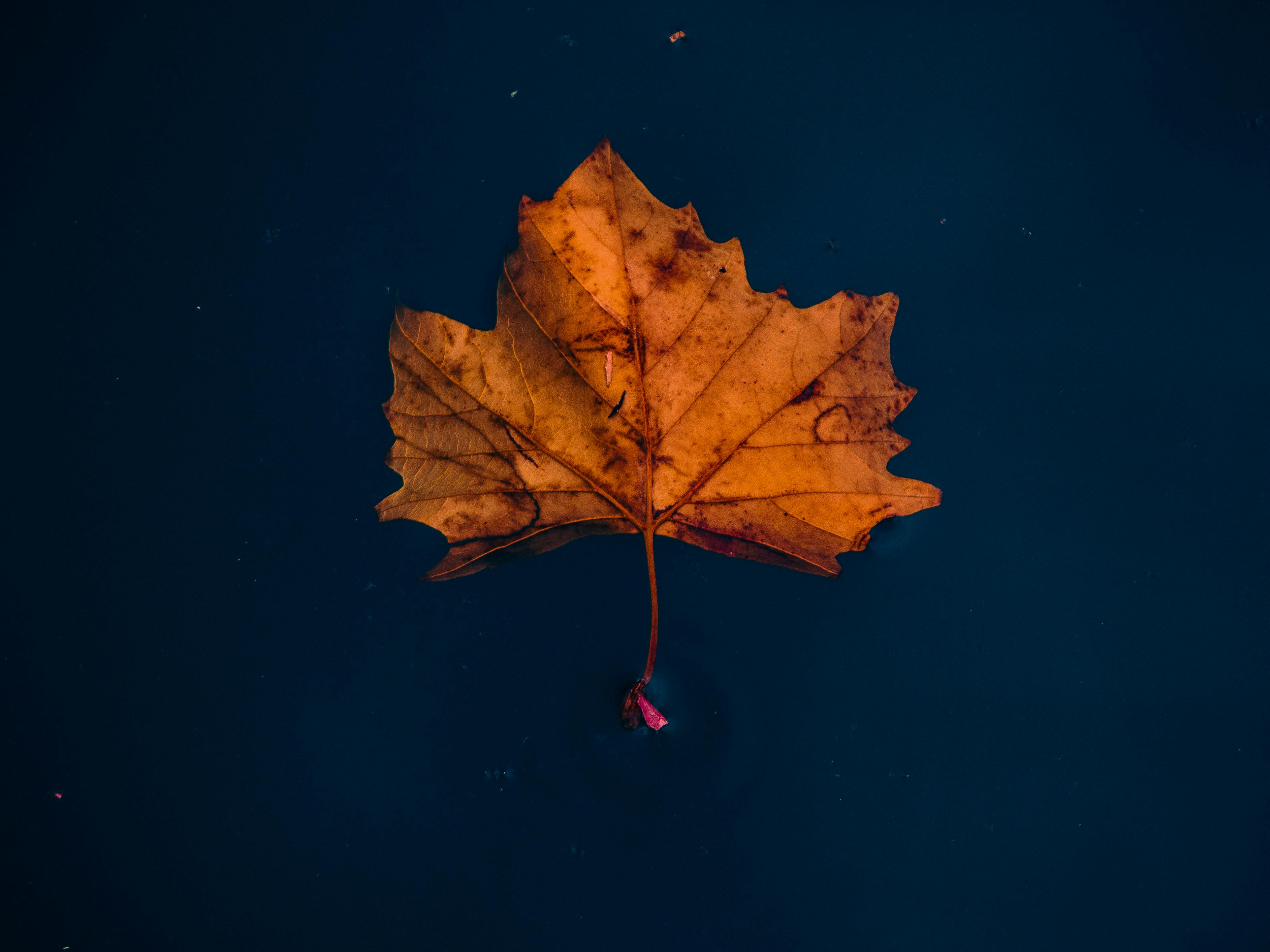 Photo by George  Zografidis