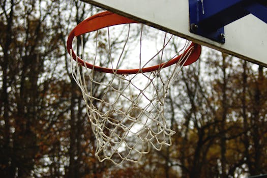 Close-up of a basketball hoop against a background of autumn trees.